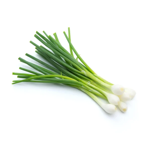 Spring Onion